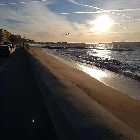 Mediterraneen *